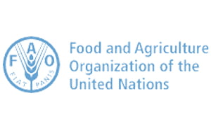 Food and Agriculture Organization of the United Nations